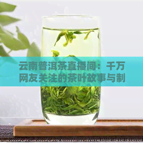 云南普洱茶直播间：千万网友关注的茶叶故事与制作工艺