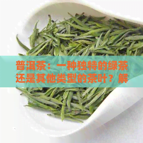 普洱茶：一种独特的绿茶还是其他类型的茶叶？解答关于生普洱茶的争议