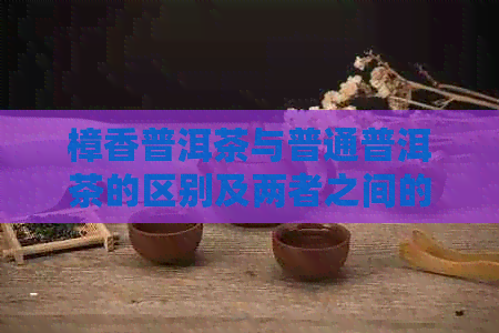 樟香普洱茶与普通普洱茶的区别及两者之间的差异解析