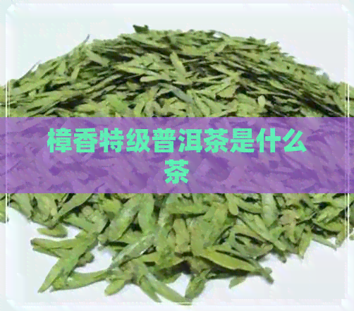 樟香特级普洱茶是什么茶