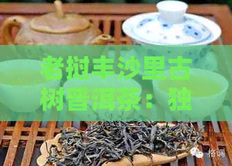 老挝丰沙里古树普洱茶：独特口感与丰富文化体验