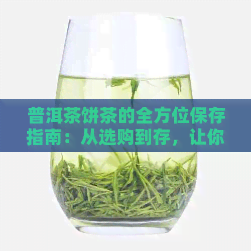 普洱茶饼茶的全方位保存指南：从选购到存，让你的茶叶保持状态