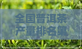 全国普洱茶产量排名之一