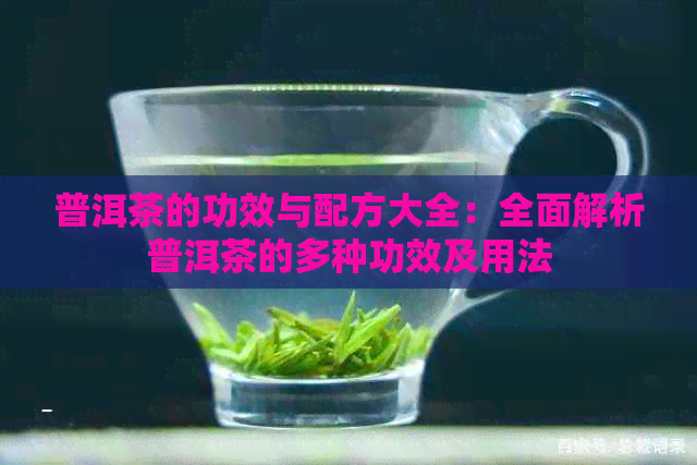 普洱茶的功效与配方大全：全面解析普洱茶的多种功效及用法