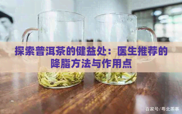 探索普洱茶的健益处：医生推荐的降脂方法与作用点