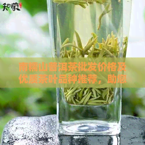 南糯山普洱茶批发价格及优质茶叶品种推荐，助您轻松挑选心仪茶叶