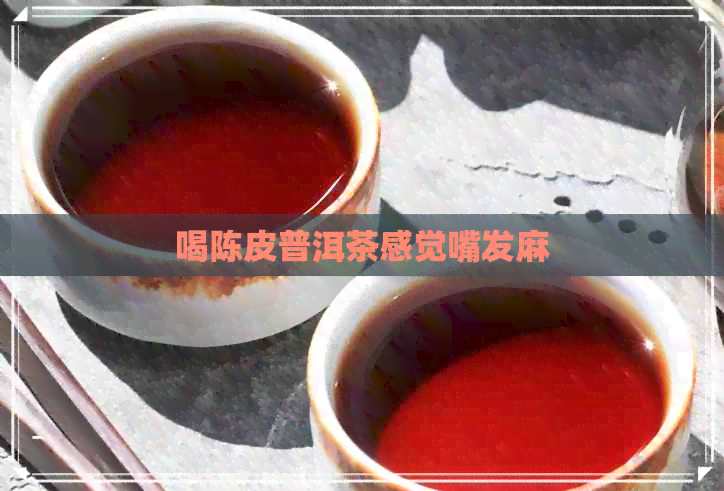 喝陈皮普洱茶感觉嘴发麻