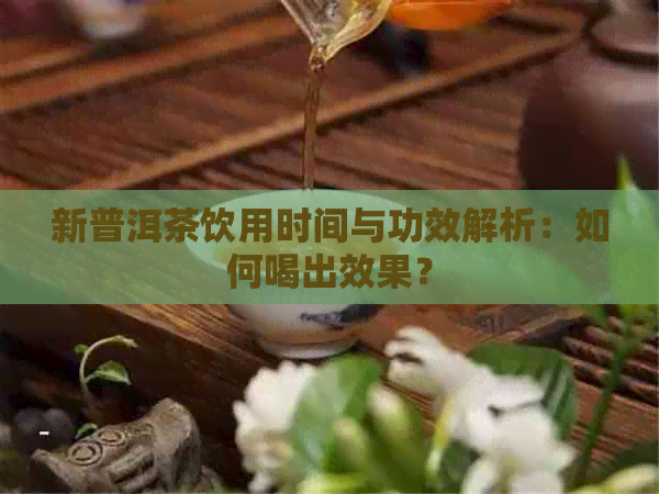 新普洱茶饮用时间与功效解析：如何喝出效果？