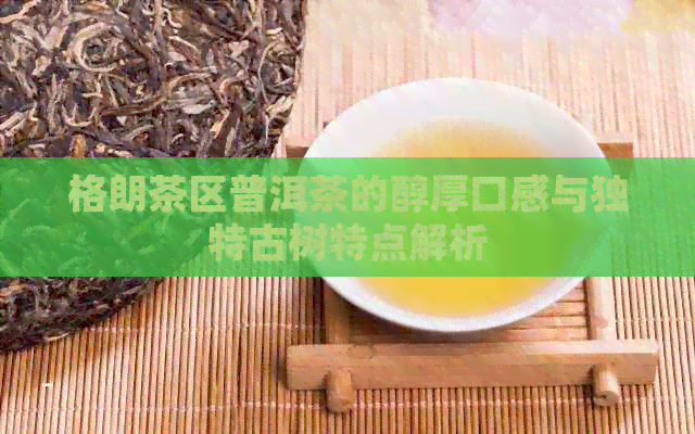 格朗茶区普洱茶的醇厚口感与独特古树特点解析