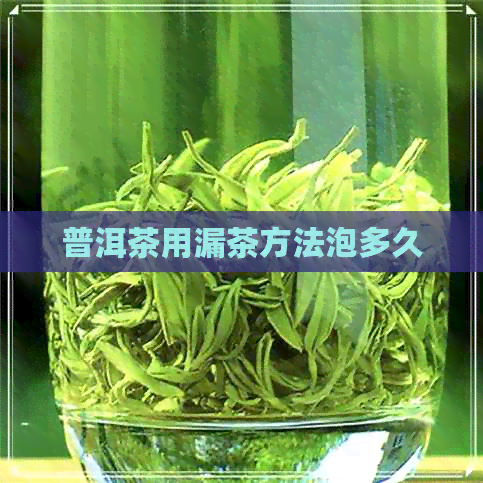 普洱茶用漏茶方法泡多久