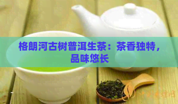 格朗河古树普洱生茶：茶香独特，品味悠长