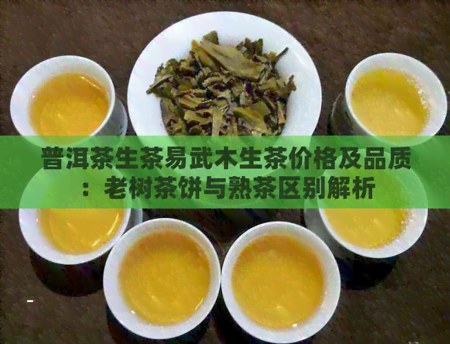 普洱茶生茶易武木生茶价格及品质：老树茶饼与熟茶区别解析