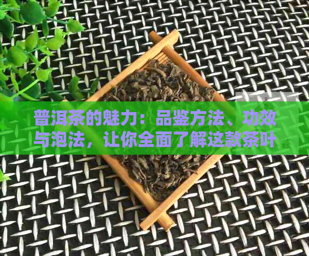 普洱茶的魅力：品鉴方法、功效与泡法，让你全面了解这款茶叶的万种风情