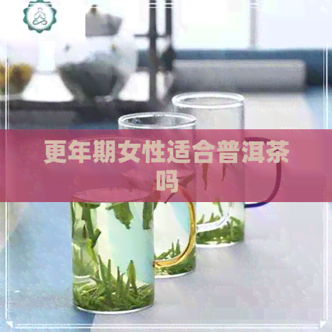 更年期女性适合普洱茶吗