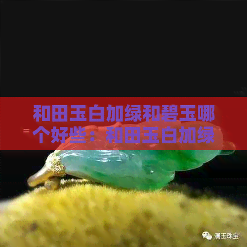 和田玉白加绿和碧玉哪个好些：和田玉白加绿和碧玉的区别及选购建议