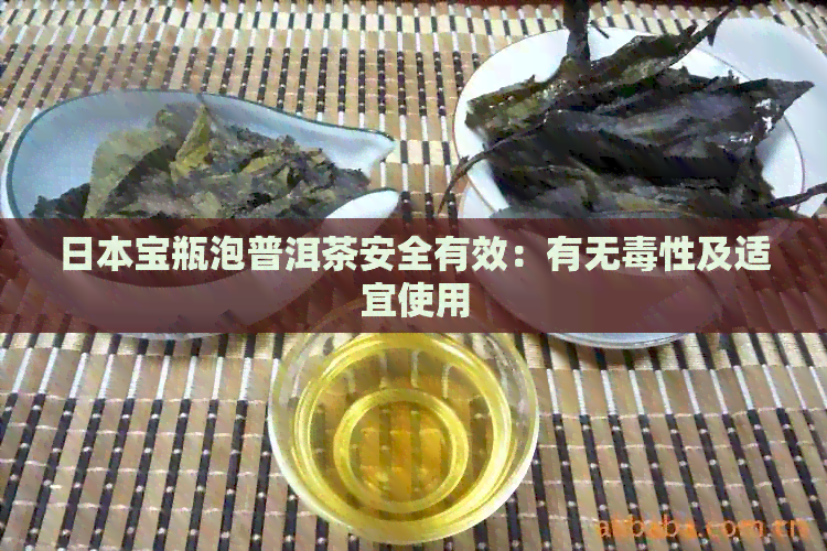 宝瓶泡普洱茶安全有效：有无性及适宜使用