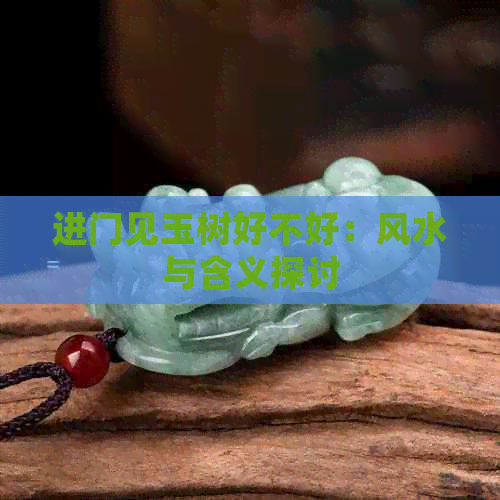 进门见玉树好不好：风水与含义探讨