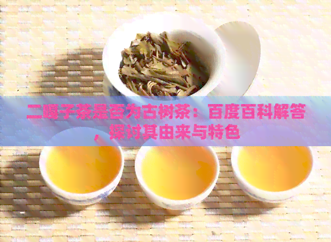 二嘎子茶是否为古树茶：百度百科解答，探讨其由来与特色