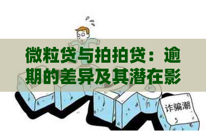 微粒贷与：逾期的差异及其潜在影响分析