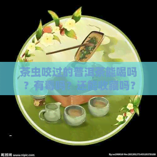 茶虫咬过的普洱茶能喝吗？有吗？还能收藏吗？