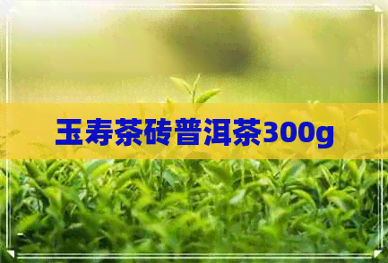 玉寿茶砖普洱茶300g