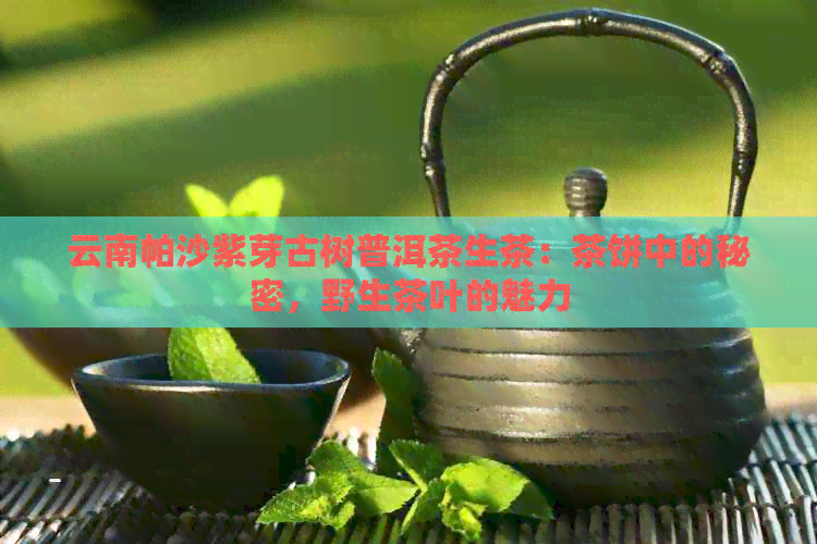 云南帕沙紫芽古树普洱茶生茶：茶饼中的秘密，野生茶叶的魅力