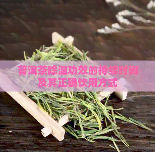 普洱茶除湿功效的持续时间及其正确饮用方式