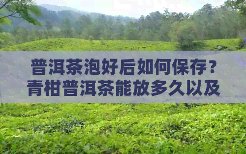 普洱茶泡好后如何保存？青柑普洱茶能放多久以及保存注意事项