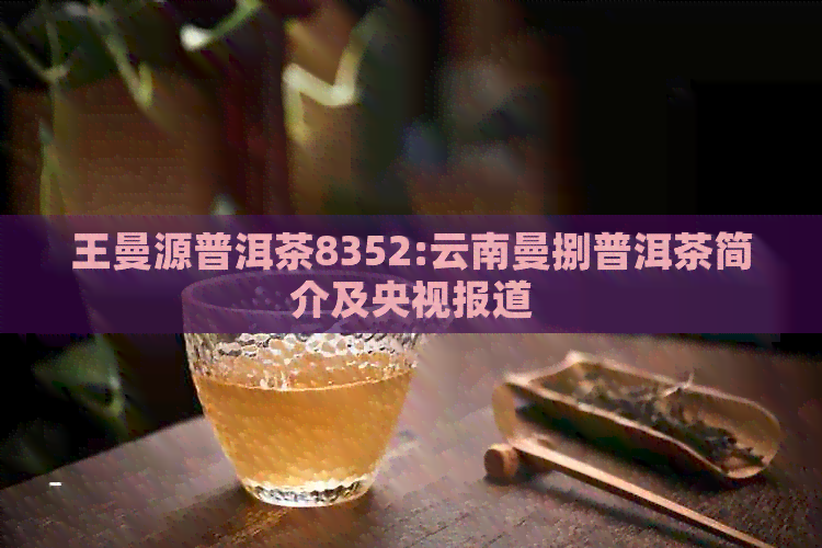 王曼源普洱茶8352:云南曼捌普洱茶简介及央视报道