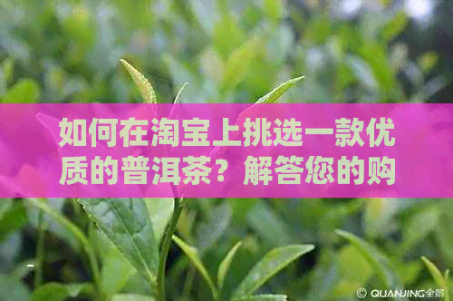 如何在淘宝上挑选一款优质的普洱茶？解答您的购买疑虑与选择困惑