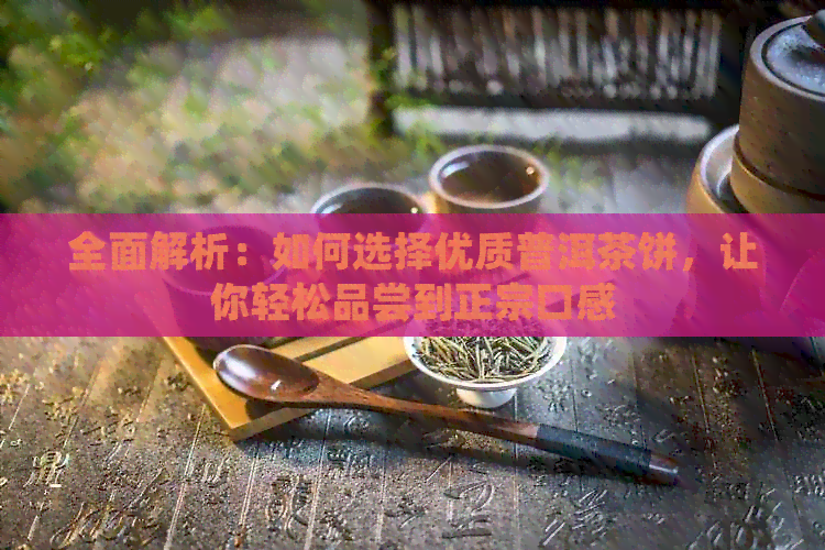 全面解析：如何选择优质普洱茶饼，让你轻松品尝到正宗口感