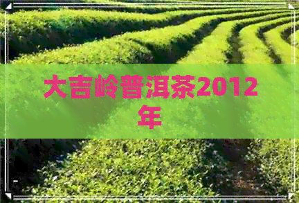 大吉岭普洱茶2012年