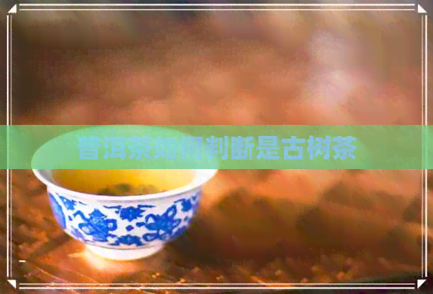 普洱茶如何判断是古树茶