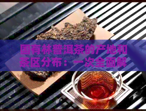 国有林普洱茶的产地和茶区分布：一次全面解析