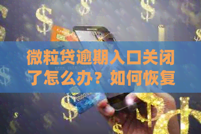 微粒贷逾期入口关闭了怎么办？如何恢复和开通？