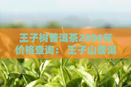 王子树普洱茶2006年价格查询： 王子山普洱茶品种及价格一览