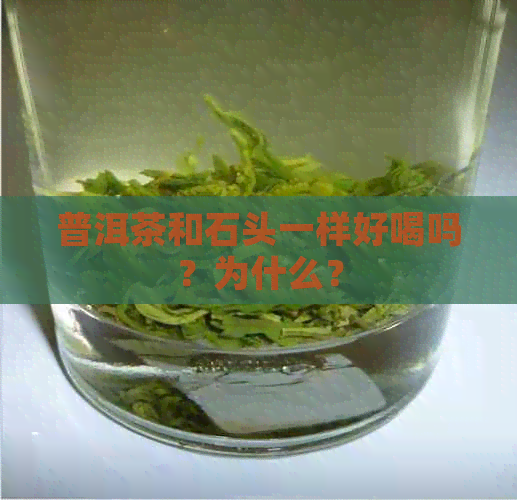 普洱茶和石头一样好喝吗？为什么？