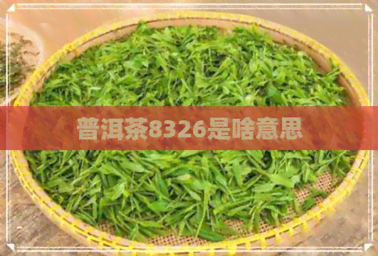 普洱茶8326是啥意思