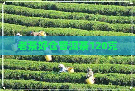 老茶好仓普洱茶120克