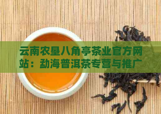 云南农垦八角亭茶业官方网站：勐海普洱茶专营与推广