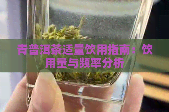 青普洱茶适量饮用指南：饮用量与频率分析