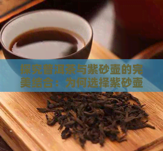 探究普洱茶与紫砂壶的完美结合：为何选择紫砂壶冲泡普洱茶的魅力所在