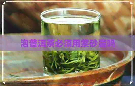 泡普洱茶必须用紫砂壶吗