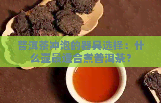 普洱茶冲泡的器具选择：什么壶最适合煮普洱茶？