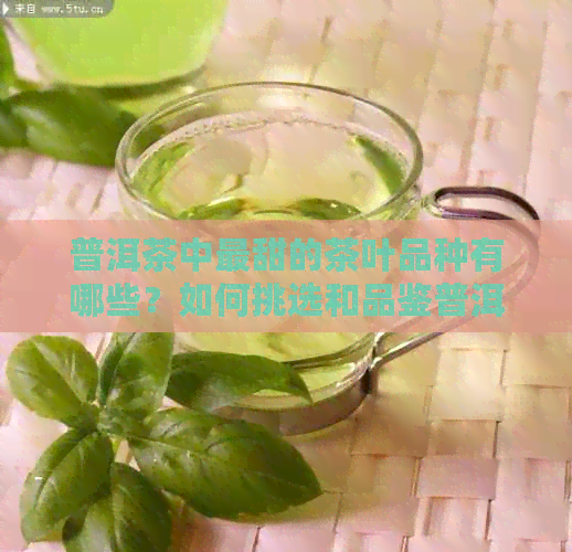 普洱茶中最甜的茶叶品种有哪些？如何挑选和品鉴普洱茶中的甜美口感？