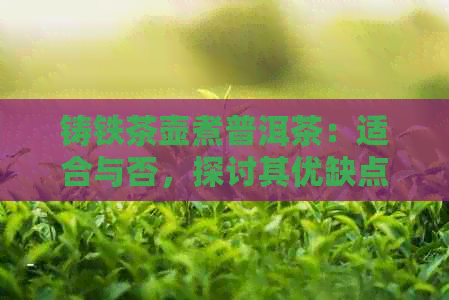 铸铁茶壶煮普洱茶：适合与否，探讨其优缺点