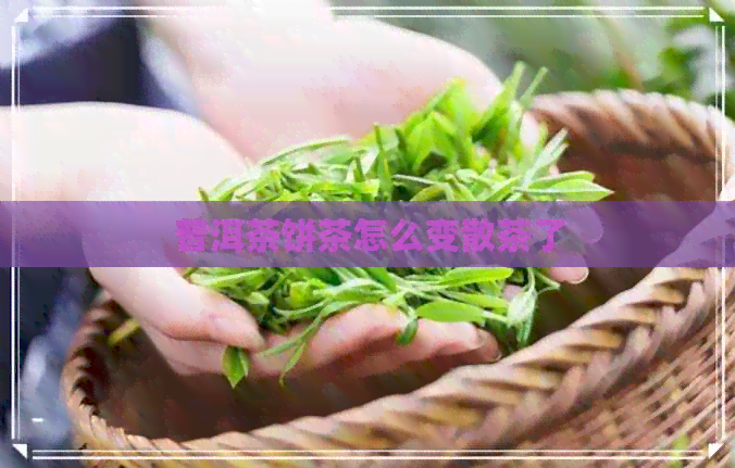 普洱茶饼茶怎么变散茶了