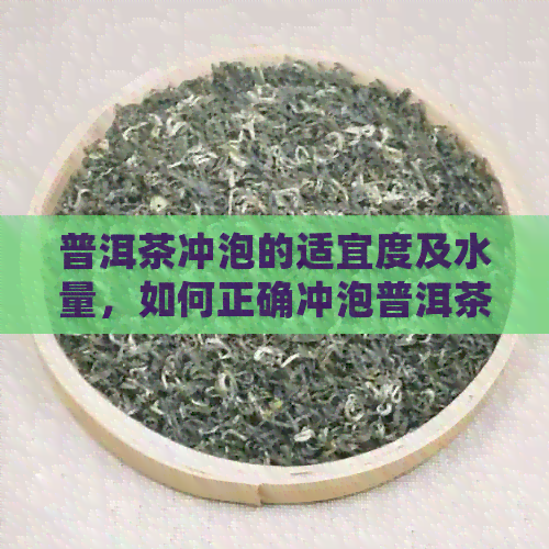 普洱茶冲泡的适宜度及水量，如何正确冲泡普洱茶？