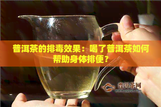 普洱茶的排效果：喝了普洱茶如何帮助身体排便？