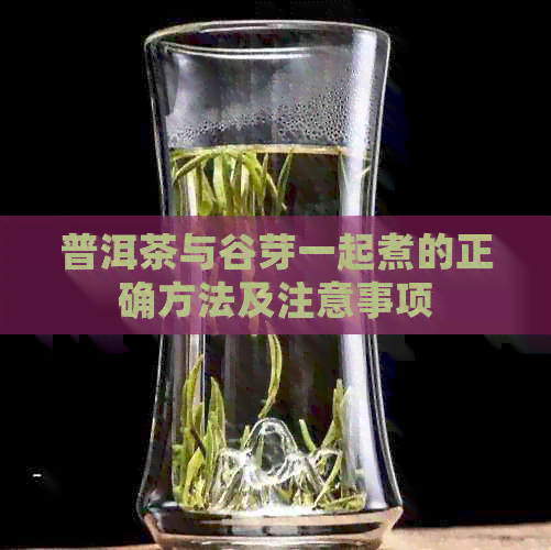 普洱茶与谷芽一起煮的正确方法及注意事项